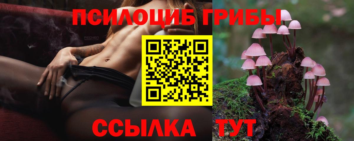Псилоцибиновые грибы прущие грибы  Вход с VPN  Верхняя Пышма  Галлюциногенные грибы MAGIC MUSHROOMS 
