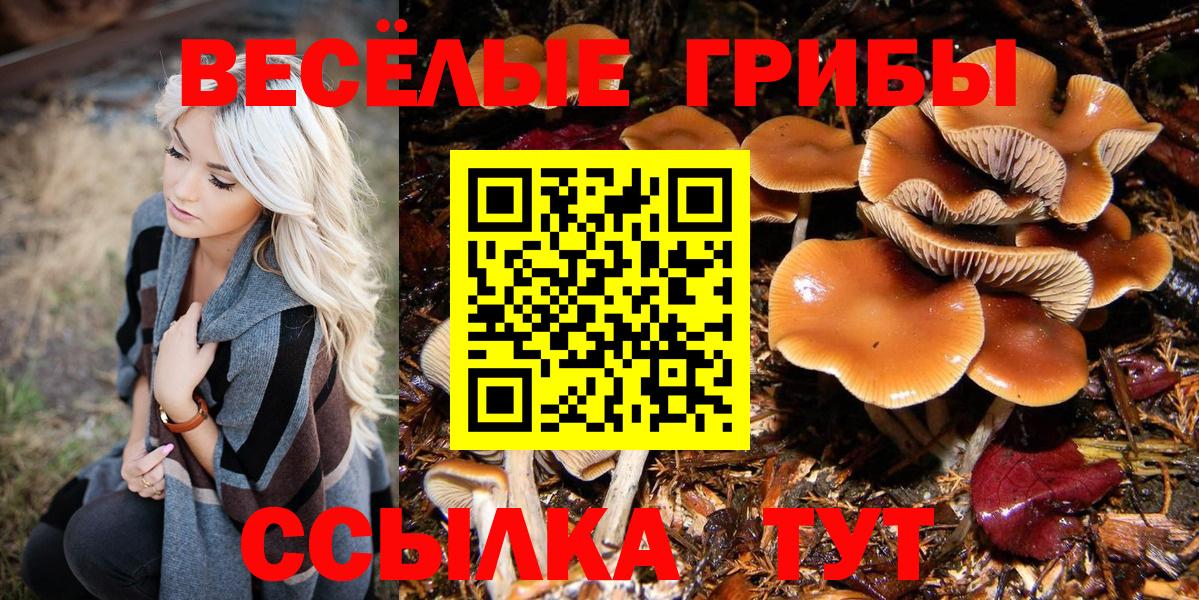 Галлюциногенные грибы Magic Shrooms Верхняя Пышма