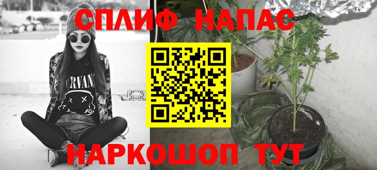 Марихуана конопля  Вход с VPN  Бошки Шишки план  Каннабис VHQ  Верхняя Пышма 